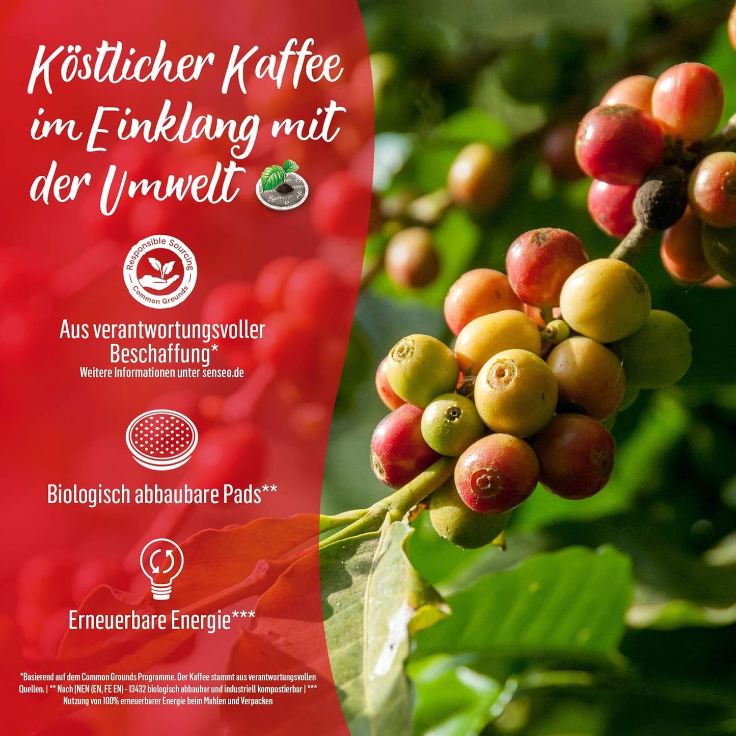 Senseo Pads Premium Selection, 5 x 16 Drinks, 80 Coffee Pods